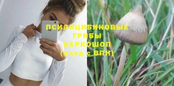 индика Ессентукская