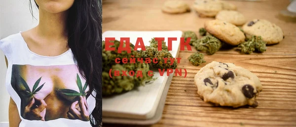 крисы Козельск
