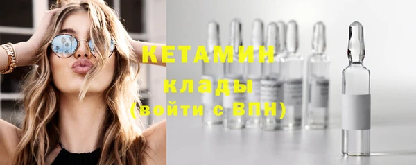 крисы Козельск