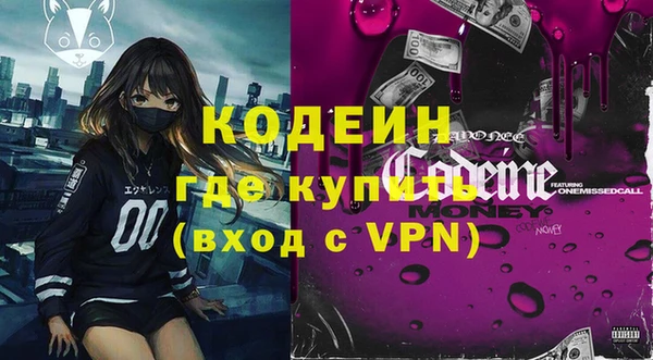 крисы Козельск
