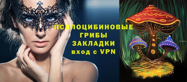 дмт Козловка