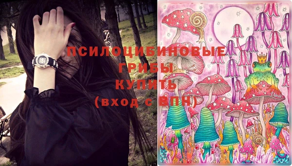 крисы Козельск