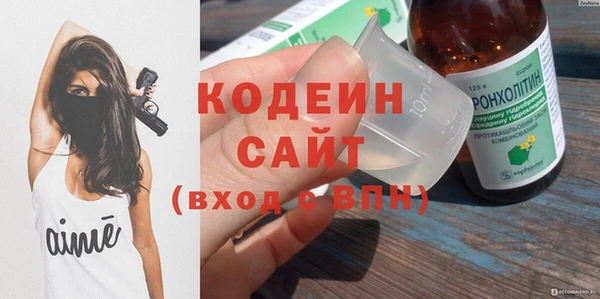 крисы Козельск