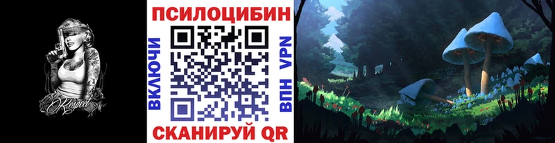 Галлюциногенные грибы Psilocybe  наркошоп  Владимир 