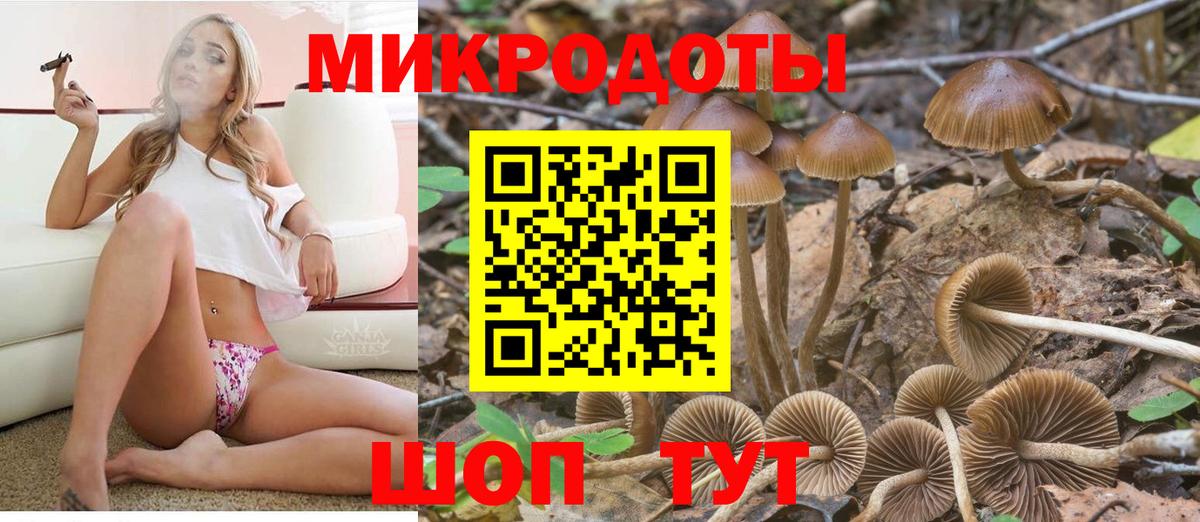 Псилоцибиновые грибы Cubensis Владимир